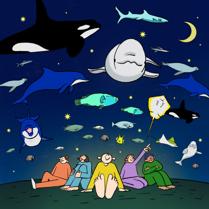 自然科学プログラム<br>「水族館でオールナイト」